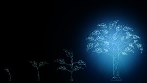 leadership development