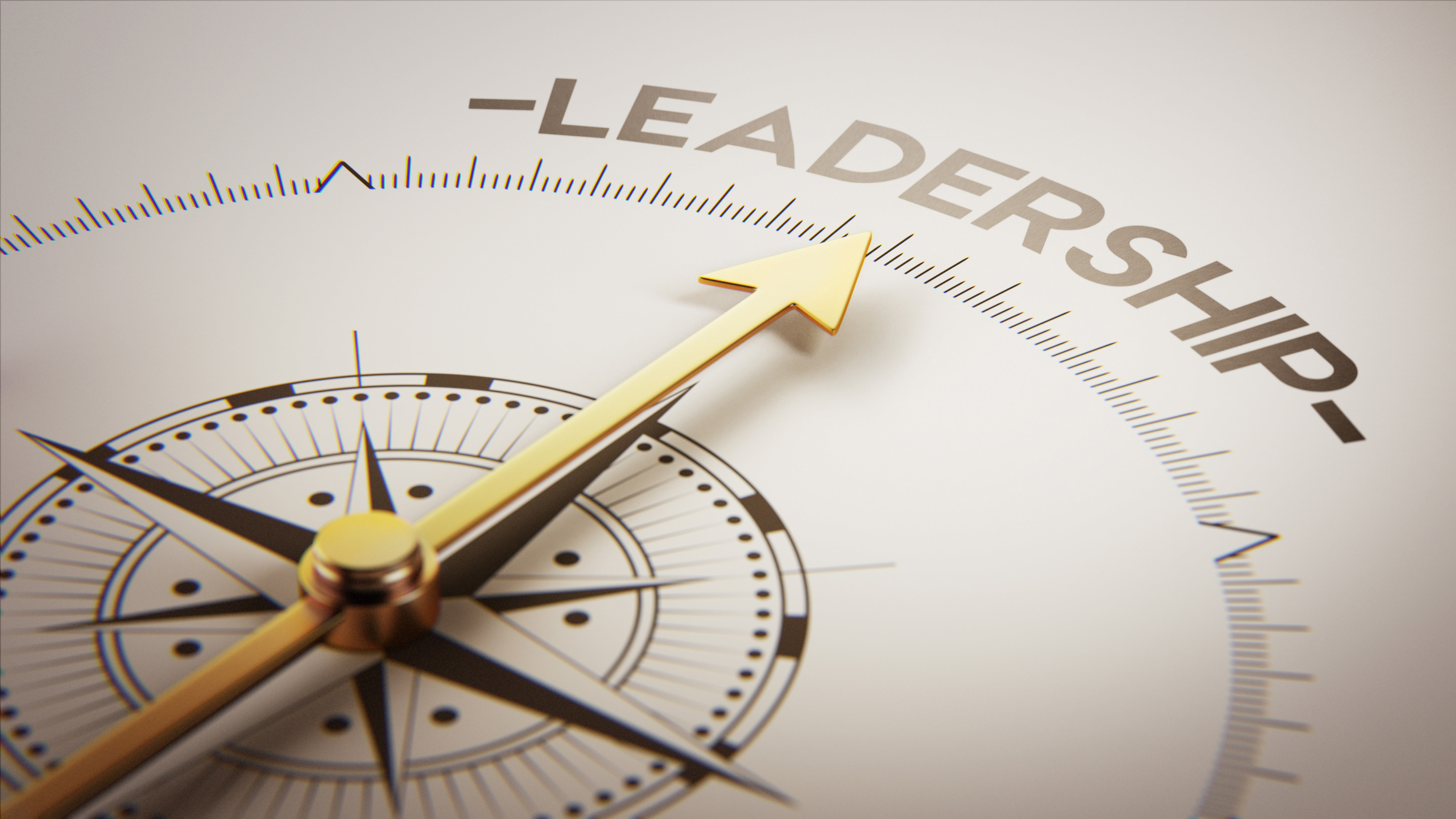 effective leader